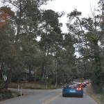 Cambria_0032 (November 03, 2017)